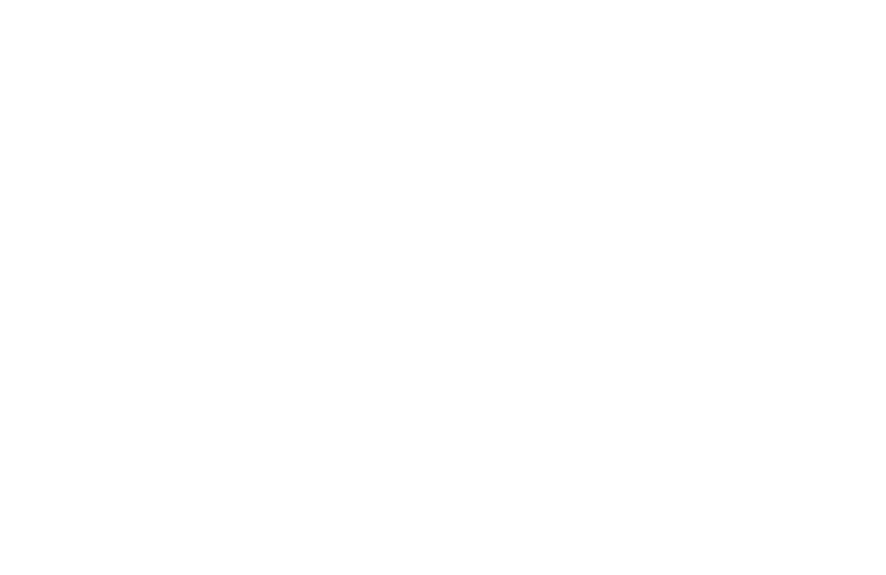 Premium Dental Care Services